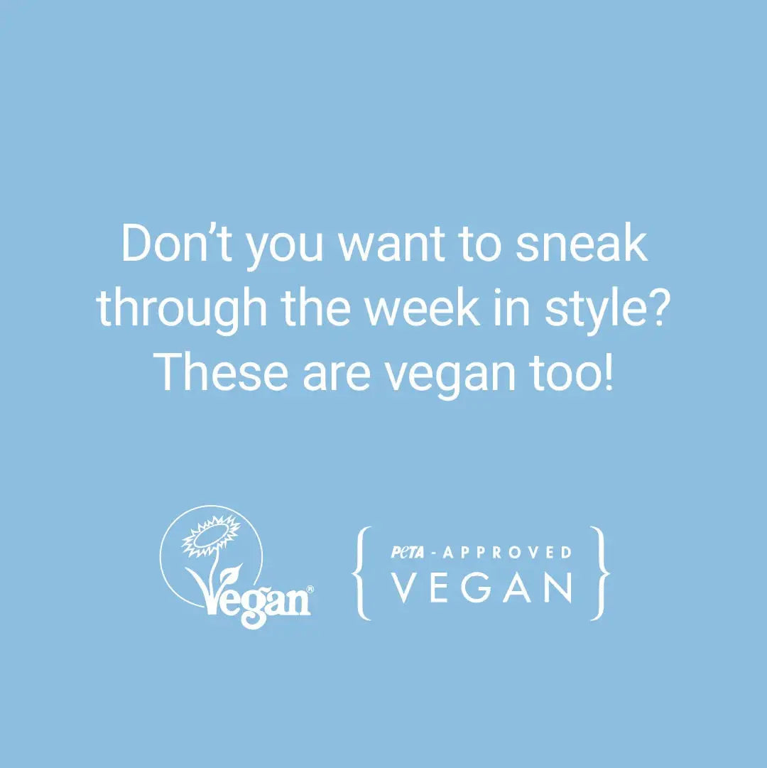 Blaze - Black holster Australia